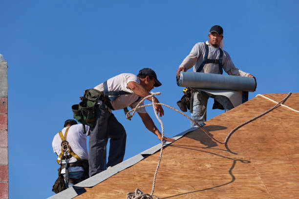 Best Roof Leak Repair  in Bluffton, OH